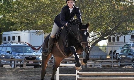 $179 for One-Month Horseback-Riding Lesson Package at Bay Light Farm ($240 Value)