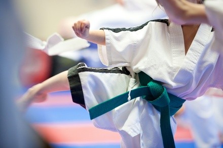 Up to 90% Off on Martial Arts / Karate / MMA at Martial Fitness Taekwondo