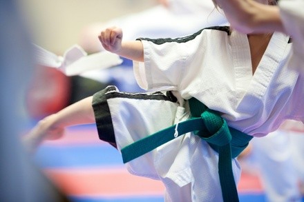 Up to 90% Off on Martial Arts / Karate / MMA at Martial Fitness Taekwondo