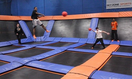One 90-Minute Jump Pass at Sky Zone (Up to 22% Off). Two Options Available. 
