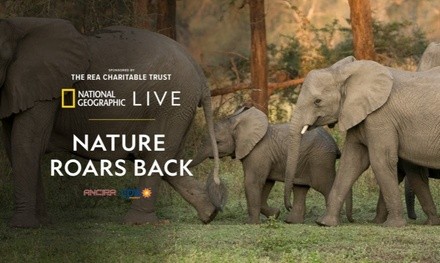 National Geographic Live: Nature Roars Back on January 30 at 4 p.m.