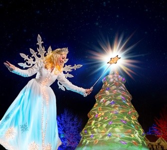 Attractions Pass to Stone Mountain Christmas Through January 2, 2022 (Up to 42% Off).