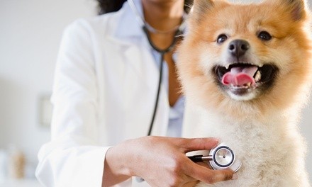 $55 for Exam and Annual Vaccine Package for One Dog or Cat at Airport Vet Clinic ($100 Value)