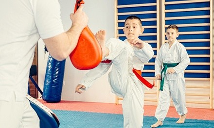 $10 for $100 2 weeks of Lessons with Uniform — Yong In Master Lee's Taekwondo