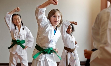 Up to 81% Off on Martial Arts / Karate / MMA - Activities at Team K Taekwondo
