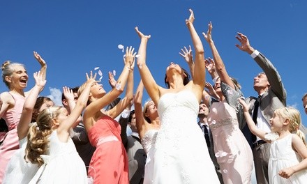 $10 for Single-Day General-Admission for One to Today’s Bride Wedding Show on January 22-23 ($15 Value)