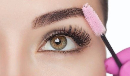 Up to 32% Off on Eyebrow Tinting at The brow bar studio