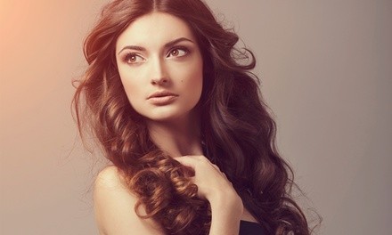 Up to 48% Off on Salon - Blow Dry / Blow Out at Danielle Campas at New Dimension Hair Salon