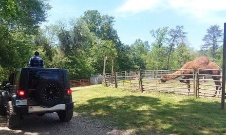 Drive-Thru Admission to North Georgia Safari Park (Up to 25% Off). Six Options Available.