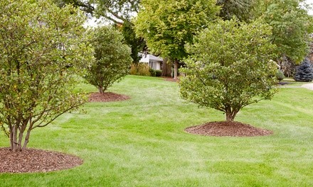 Up to 46% Off on Lawn Mowing Service at Top Tech Property Management