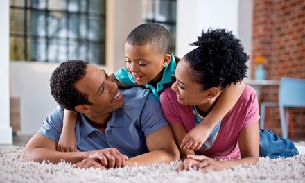 Up to 30% Off on Carpet Cleaning at Organic steam clean of Indy