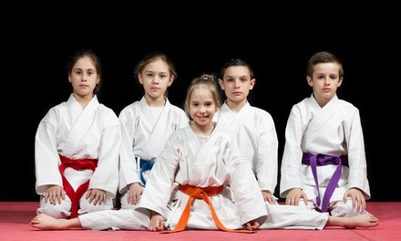 $29 for One Month of 45-Minute Classes for One Child at Master Kicks Martial Arts ($179 Value)