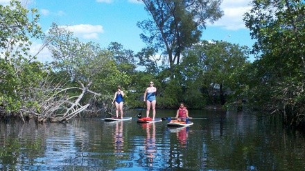 Up to 65% Off on Paddleboarding - Training at Sunrise Paddleboards