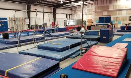 One Month of Ninja Classes, Preschool Gymnastics, or Cheernastics/Tumbling for One Child at Storm Athletics Center