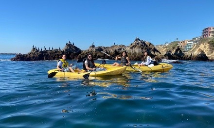 90-Minute Ocean Kayaking Wildlife Tour for One, Two, or Eight from Kayak Newport Beach (Up to 61% Off)