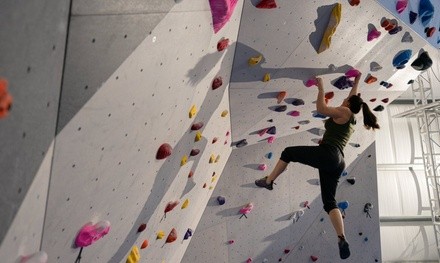 Single-Day Indoor Climbing and Adventure Course Pass for One, Two, or Four at Climb Woodlands (Up to 59% Off)