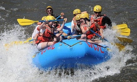 Half- or Full-Day Rafting Trip from Action Whitewater Adventures (Up to 43% Off). 12 Options Available.