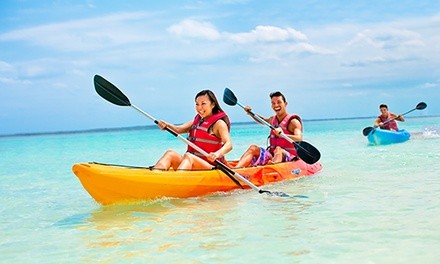 Paddleboard, Kayak, or Beach Chair Rental at Miami Watersports (Up to 68% Off). Three Options Available.