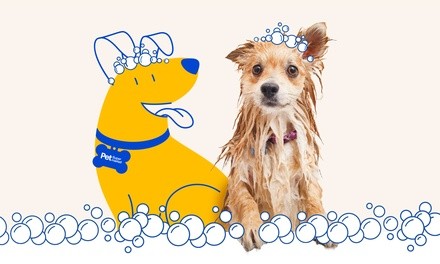 $24 for Six Self-Serve Dog-Wash Sessions at Pet Supermarket ($360 Value)