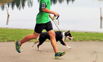 $24 for $40 Worth of Dog Runs from Jogs for Dogs