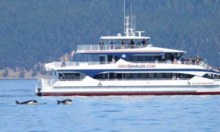 $79 for Anacortes Whale and Wildlife Tour, Valid Until March 31 from Island Adventures ($109 Value)