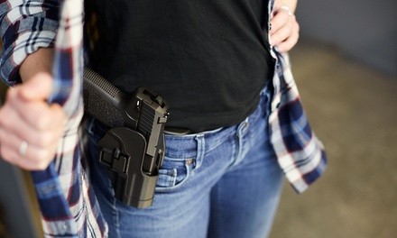 Up to 59% Off on Firearm / Weapon Safety Training at Gun Dog Armory