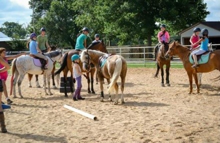 Up to 22% Off on Horse Back Riding - Recreational at Jomar Farms