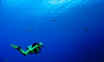 Scuba Certification Course or Introductory Experience for One Person at Inland Water Divers (Up to 25% Off)