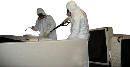 Up to 40% Off on Pest Control Service - Bed Bug at A to B Pest Control LLC