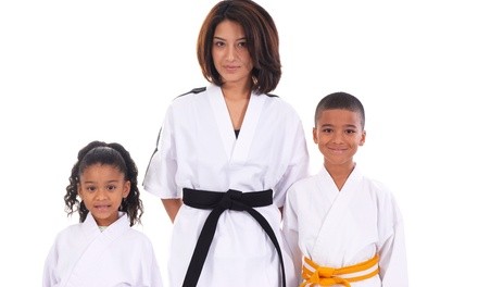 $10.80 for One Month of Unlimited Martial-Arts Classes at Polaris Tae Kwon Do ($100 Value)