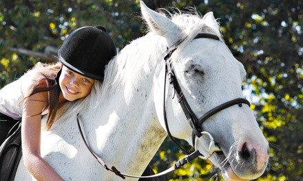 Summer Adventures and Horsemanship Camp for One or Two at Robinson Ranch (Up to 51% Off)