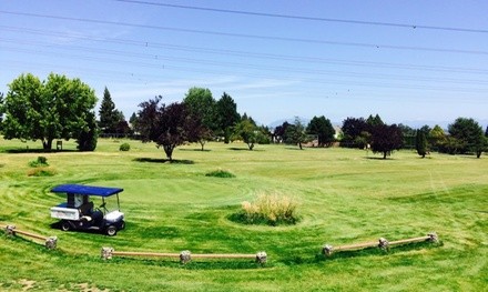 9-Hole Round of Golf for One, Two, or Four at Clayton Hills Golf Course (Up to 43% Off)