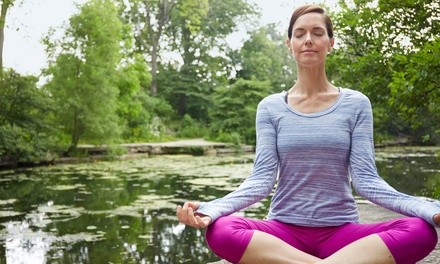 Up to 59% Off on Online Yoga / Meditation Course at Brian Leaf SAT Prep