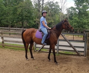 $225 for Horse Boarding at Raynors Hilltop Farm ($300 Value)