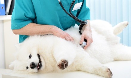 Up to 89% Off on Veterinary Care at Pet Health Center