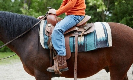 Guided 1-Hour Horse-Back Trail Ride for Two or Three, or Four from P3 Lake Louisa LLC (Up to 38% Off)