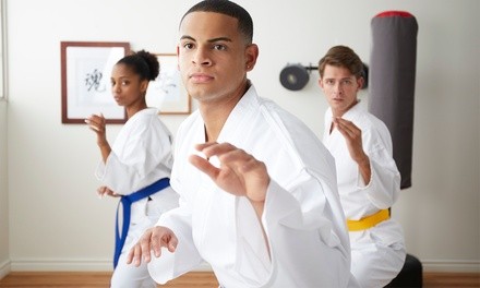 Three 60-Minute Classes or One Month of Unlimited Classes with Info Session at Mission MMA (Up to 79% Off)