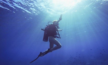 Up to 60% Off on SCUBA at Scuba Schools of America