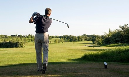 One or Two Private One-Hour Golf Lesson