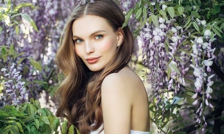 Up to 50% Off on Salon - Keratin Treatment at Brasilian Blow Out Bar