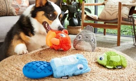 Up to 66% Off on Dog Toys from Pet Store Liquidator