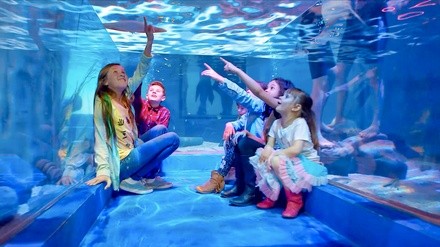 Up to 24% Off on Zoo / Animal Park at SeaQuest - Atlanta