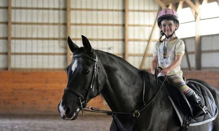 One or Four Private Horse Back Riding Lessons at Berlin Stable (Up to 34% Off)