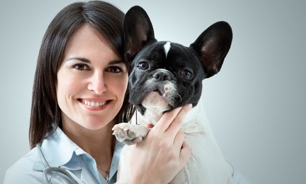 $120 for Pet Vaccination Package with Ear Cleaning and Nail Trim at Austin Veterinary Care ($230 Value)