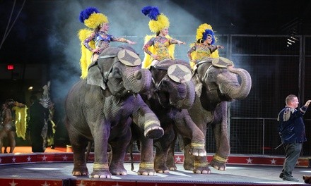 Carden International Circus Spectacular on May 3 or 4 at 4:30 p.m. or 7:30 p.m.