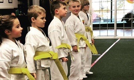 Up to 89% Off on Martial Arts Training for Kids at Shaolin Self Defense of East Islip
