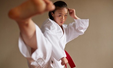 Up to 61% Off on Martial Arts / Karate / MMA at Oliver Karate Academy