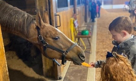 Up to 44% Off on Horse Back Riding at Stoneridge Riding Academy