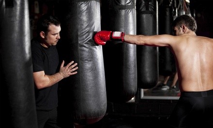 Up to 50% Off on Boxing / Kickboxing - Training at Sport Fit Milwaukee