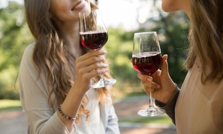 Full-Day Guided Niagara Wine Tour for One or Two from Niagara Fun Tours (Up to 45% Off)